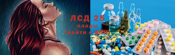 PSILOCYBIN Алексин