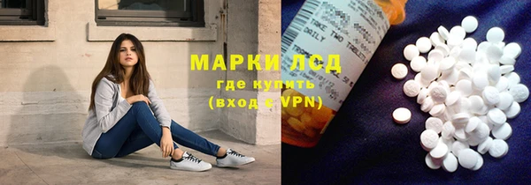 индика Алзамай