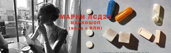 индика Алзамай