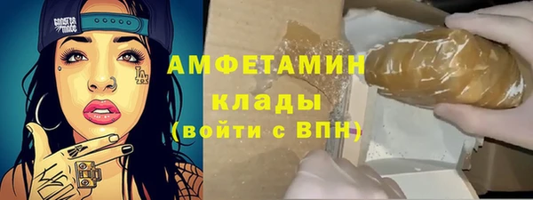 индика Алзамай