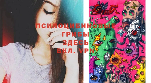ГАЛЛЮЦИНОГЕННЫЕ ГРИБЫ Алексеевка