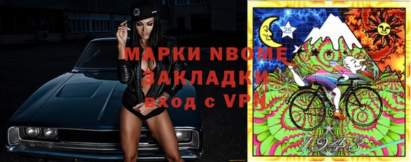 прущие грибы Козловка