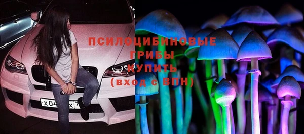 ГАЛЛЮЦИНОГЕННЫЕ ГРИБЫ Алексеевка