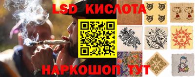 прущие грибы Рыбинск