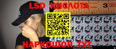 прущие грибы Рыбинск