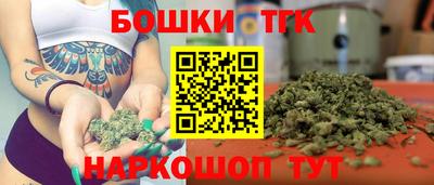 индика Рязань