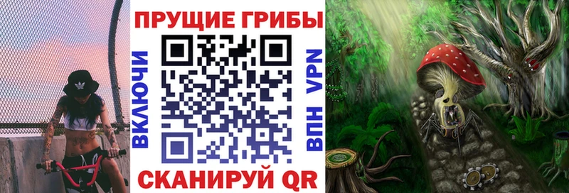 кракен как войти Шатура Псилоцибиновые грибы MAGIC MUSHROOMS