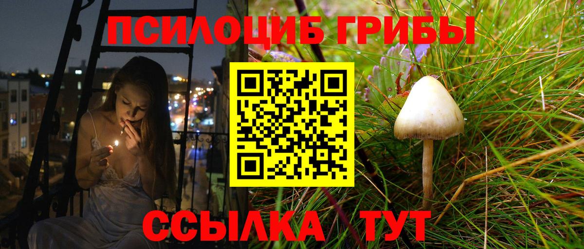 Псилоцибиновые грибы Cubensis  Вход с VPN  Псилоцибиновые грибы ЛСД  Шатура 